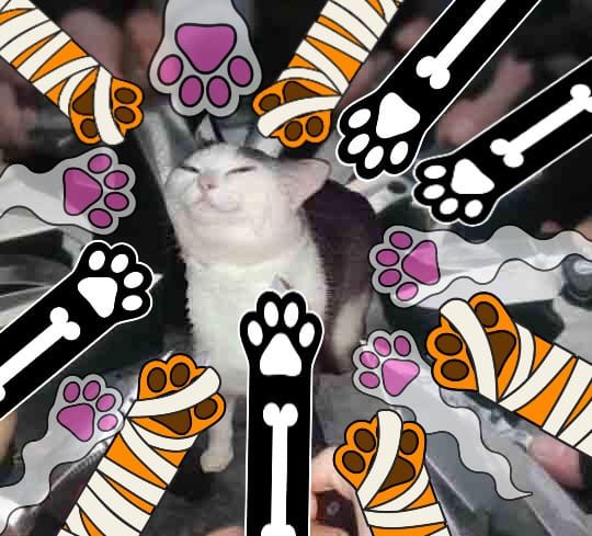 Why Do We Have Fandom Holidays?