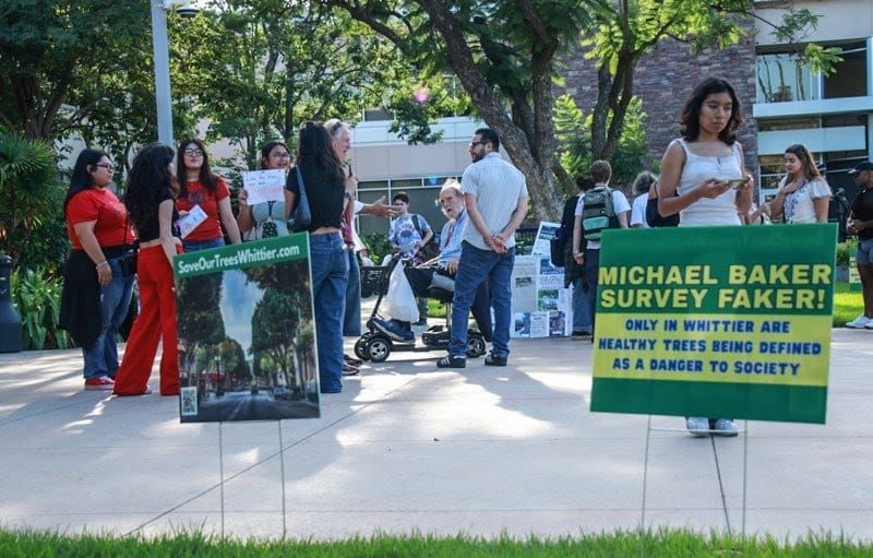 Whittier Council Rejects Pause on Tree Plan Despite Hours of Public Opposition