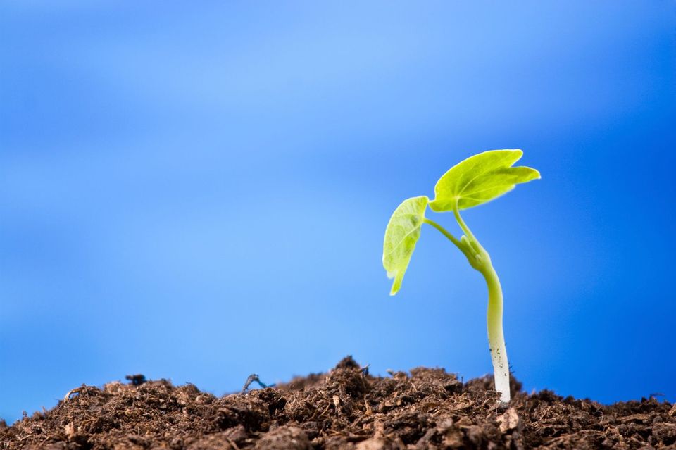 The impact and design characteristics of great leadership development programs