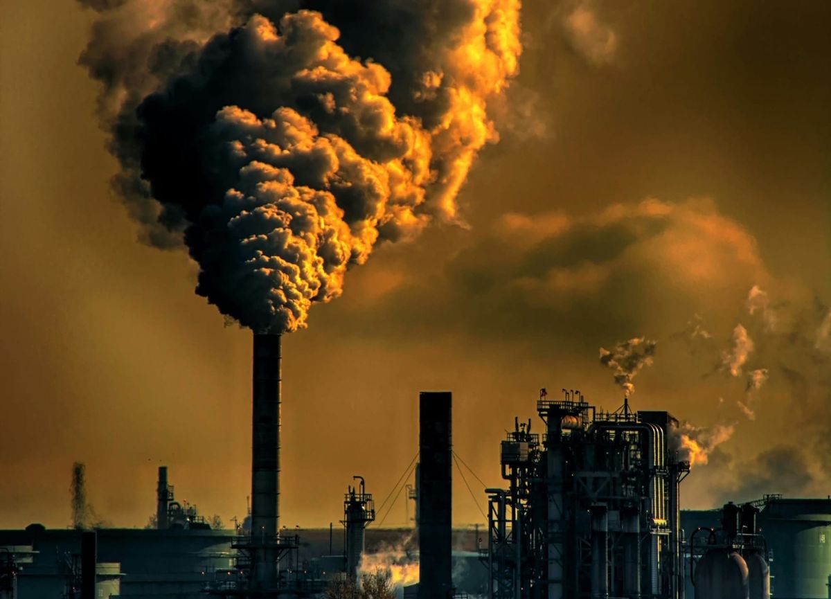 The Earth's Hidden Carbon Sink: A Voyage to Discover the Ocean Floor’s Secrets