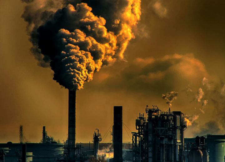 The Earth's Hidden Carbon Sink: A Voyage to Discover the Ocean Floor’s Secrets