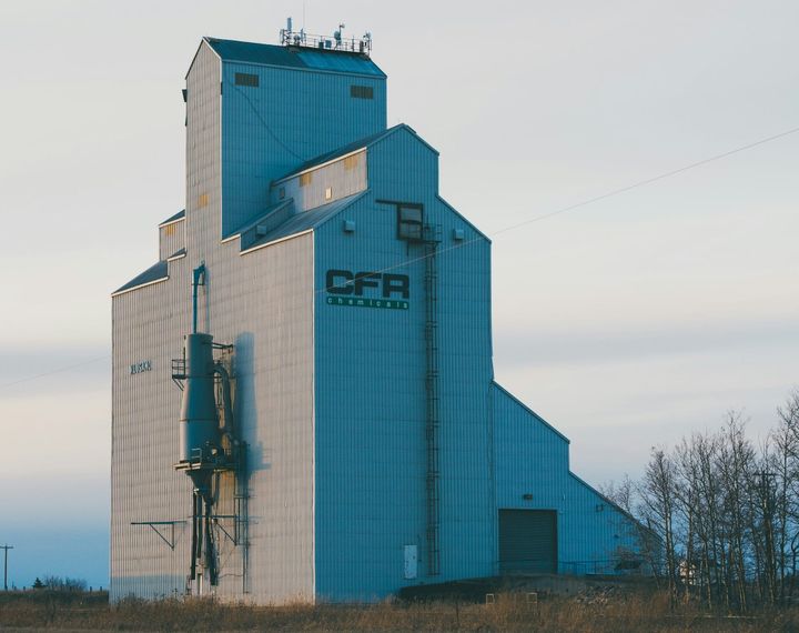 The Hidden Cost of Convenience: Industrial Animal Agriculture as a Primary Driver of Water Pollution