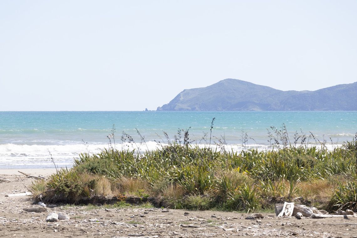 Beach view of Kapiti Island