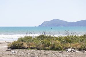 Beach view of Kapiti Island