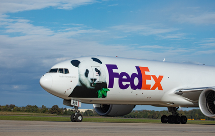 How Two Giant Pandas Flew From China to Atlanta