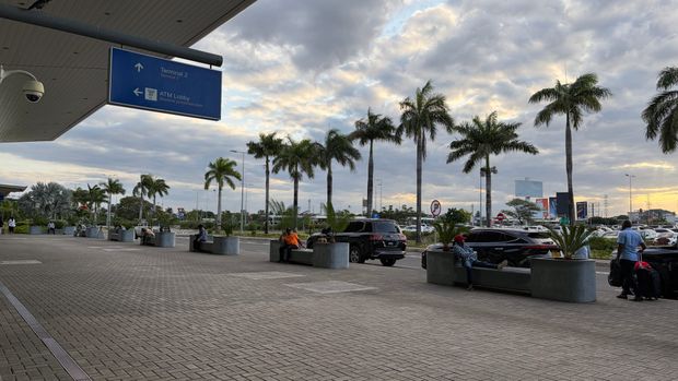 Palm-lined pickup area outside Julius Nyerere International Airport in Dar es Salaam with travelers waiting under a cloudy sky