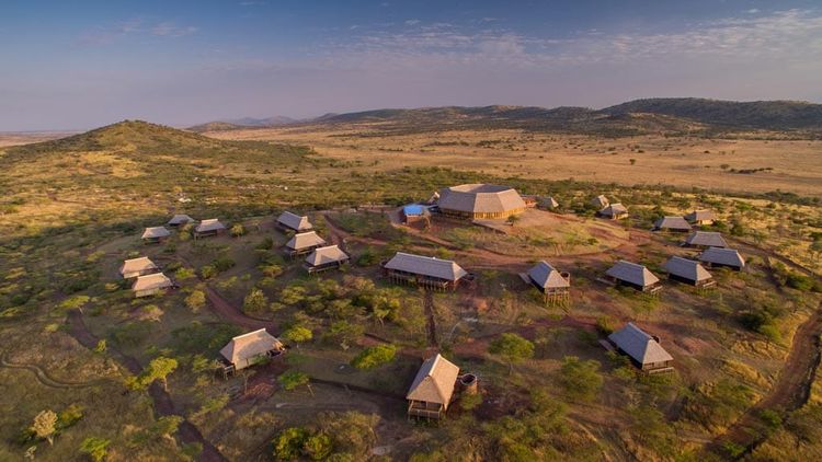 What Time is Best for a Safari in Tanzania?