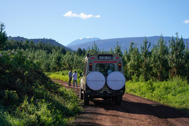 Best Place to See the Big Five in Tanzania