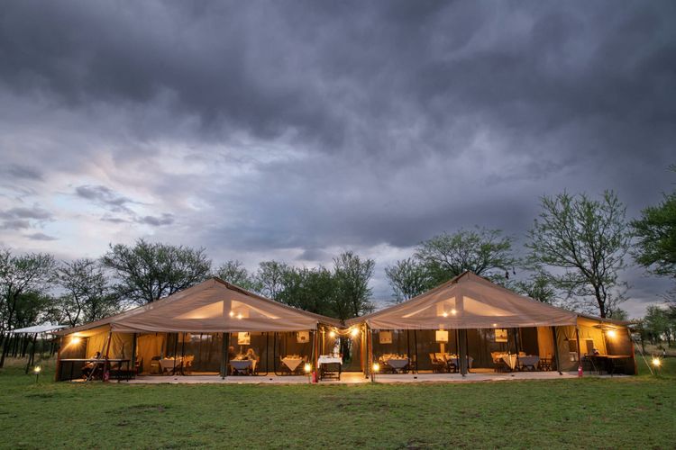 Discovering Tarangire's charms