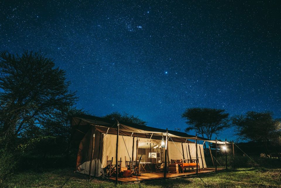 Comparing Costs of Safaris in Tanzania vs. Kenya