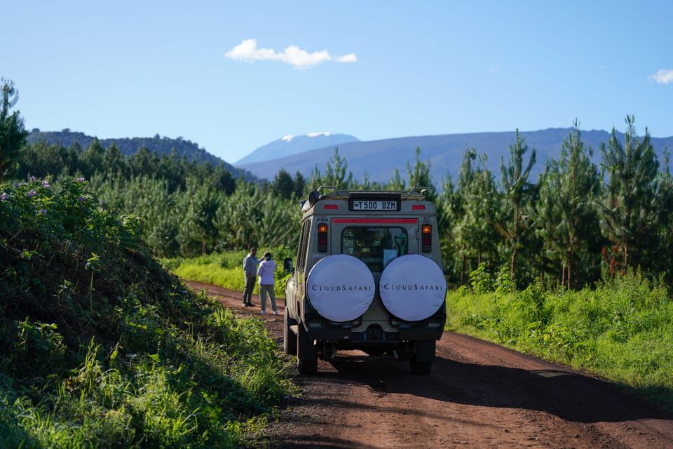 Best Place to See the Big Five in Tanzania
