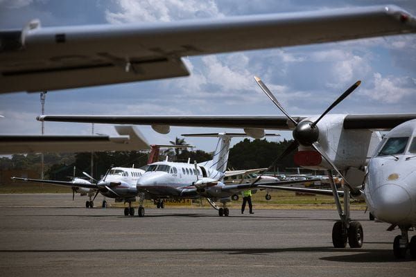 Unveiling Tanzania's Wonders: Exploring Safaris Through Internal Flights