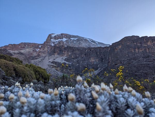What's the cost of climbing Mt. Kilimanjaro?