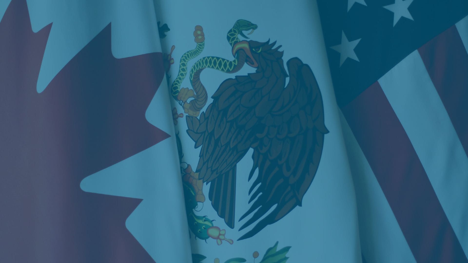 OPINIÓN FRENTE A LA REVISIÓN DEL T-MEC EN 2026