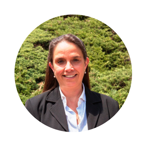 Del activismo al aislamiento: México y la creciente soledad en su política exterior (1991-2026)