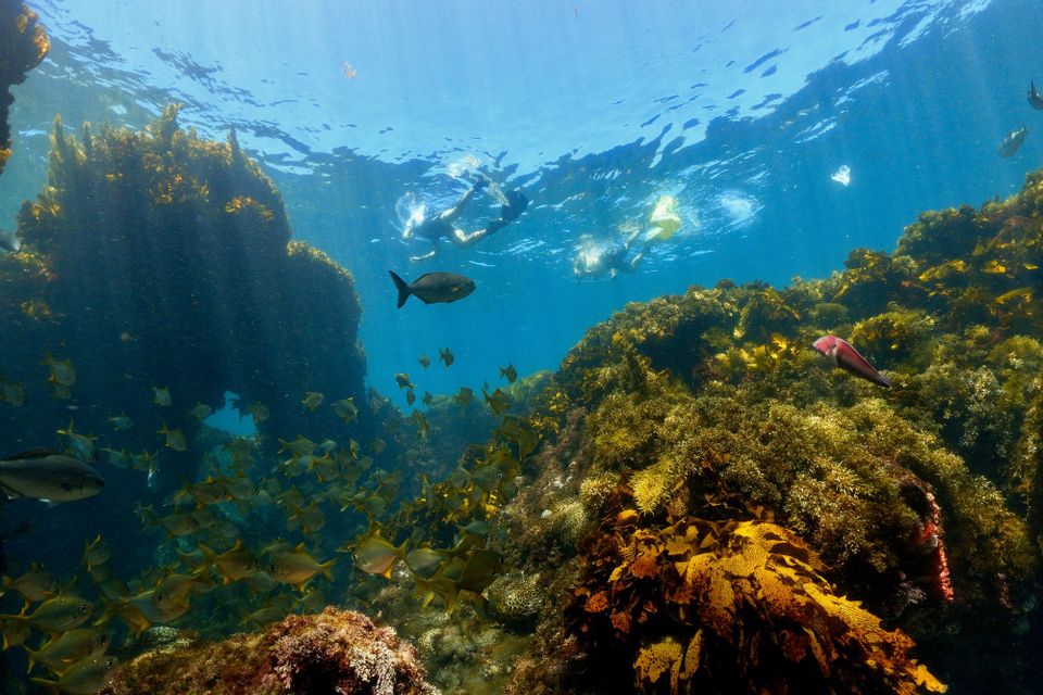 Wrecks you haven't dived yet