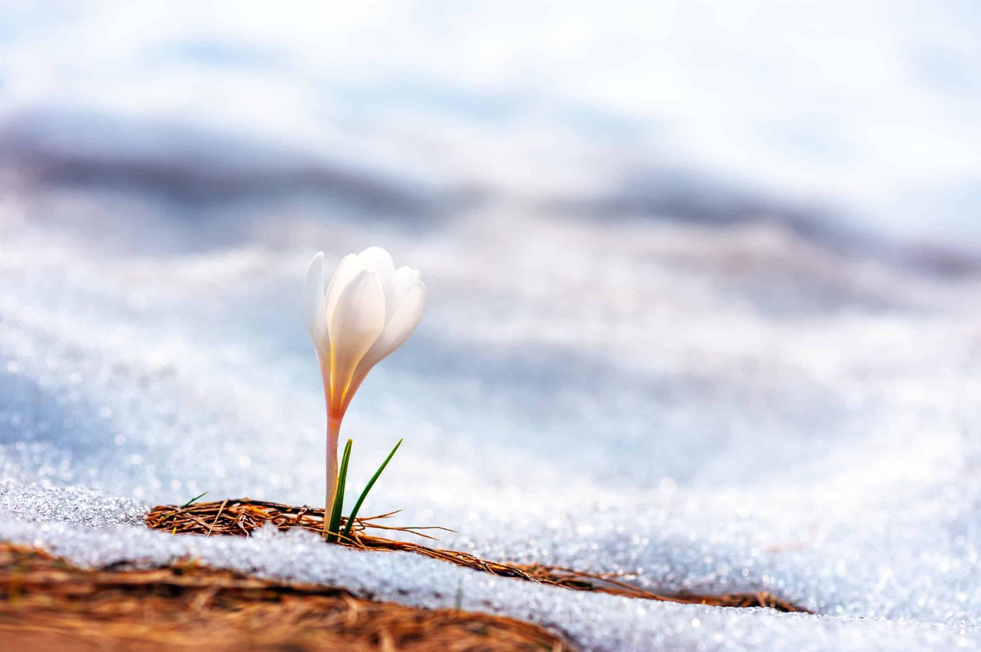 What's Gay Love Got to Do With Anything?