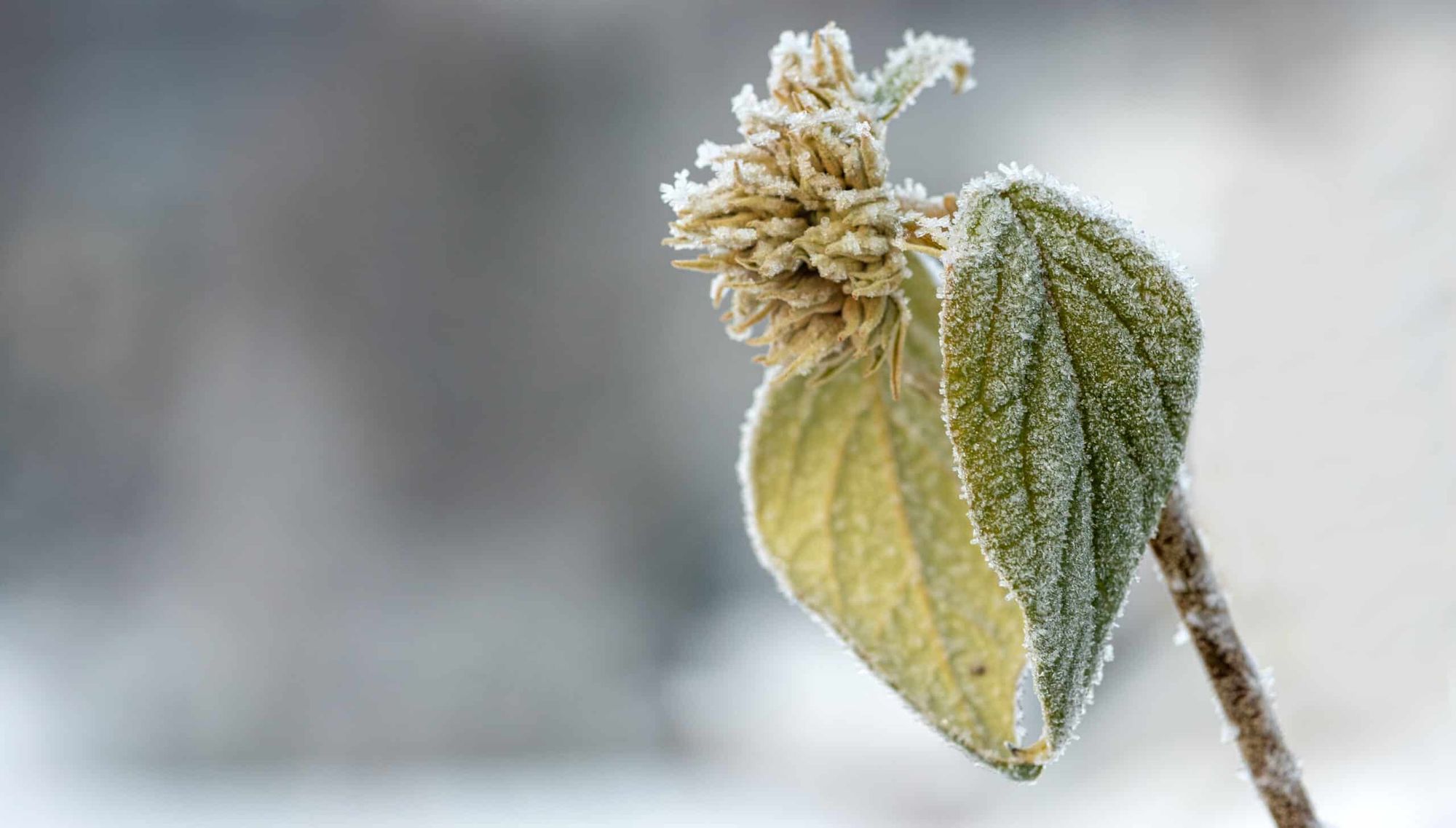 Building Gay Resilience and Authenticity