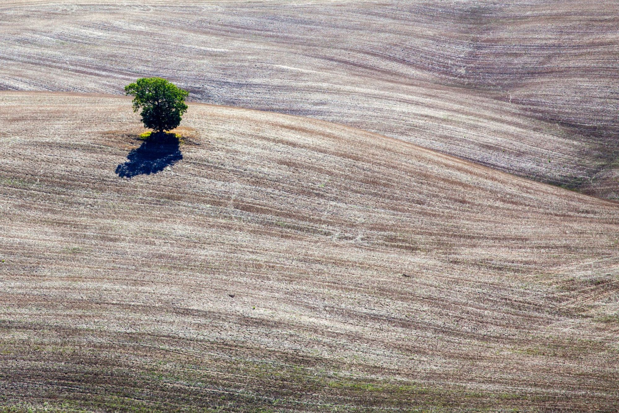 Dealing with Gay Loneliness