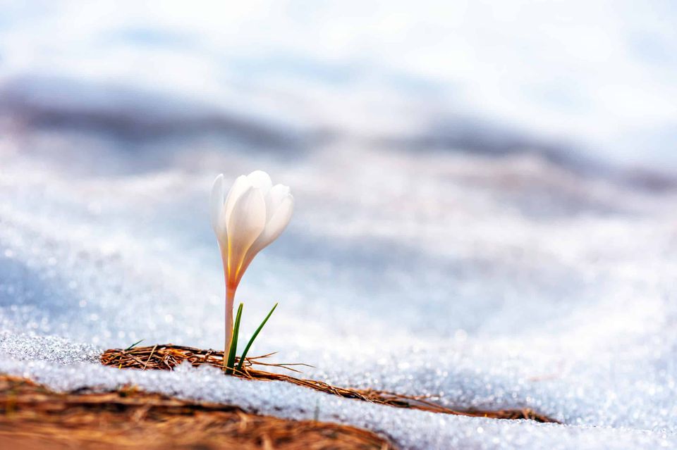 What's Gay Love Got to Do With Anything?