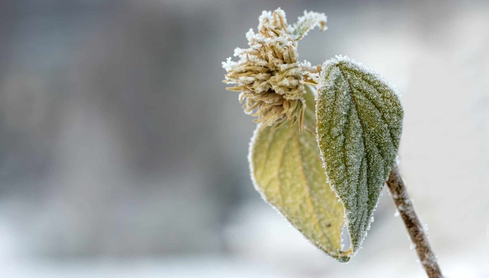 Building Gay Resilience and Authenticity