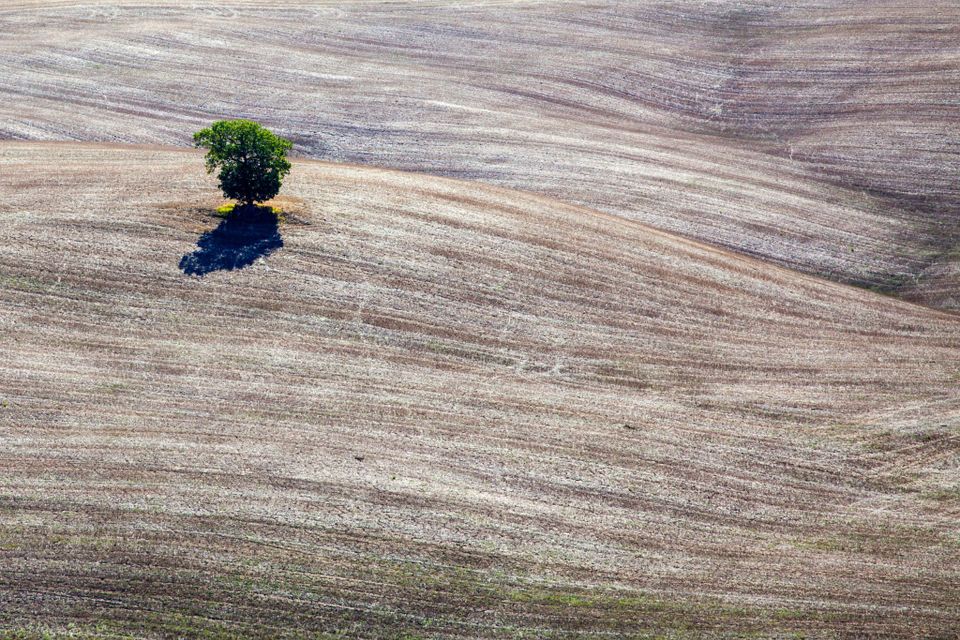 Dealing with Gay Loneliness