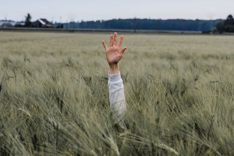 Getting Lost in the Weeds of AppSec?