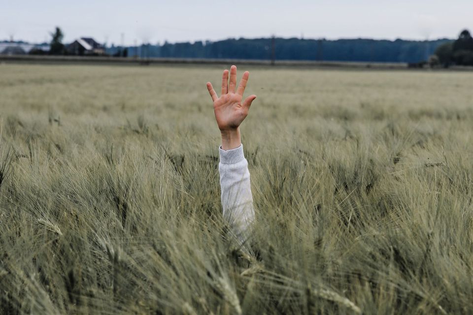 Getting Lost in the Weeds of AppSec?