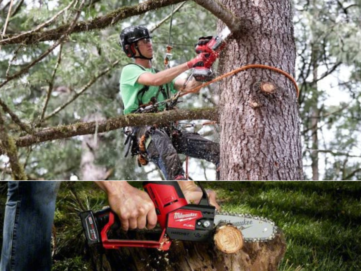 A man tied off trimming limbs from a tree, and another cutting up a small tree with his Milwaukee chainsaw.