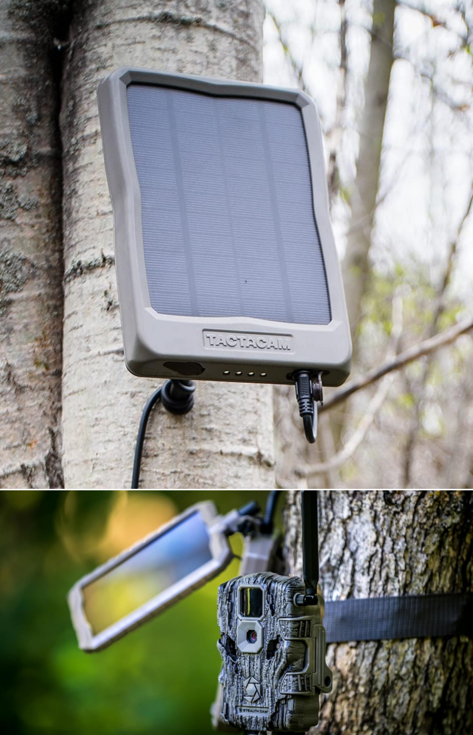 A solar panel mounted remotely away from the camera, and another beside the trail camera