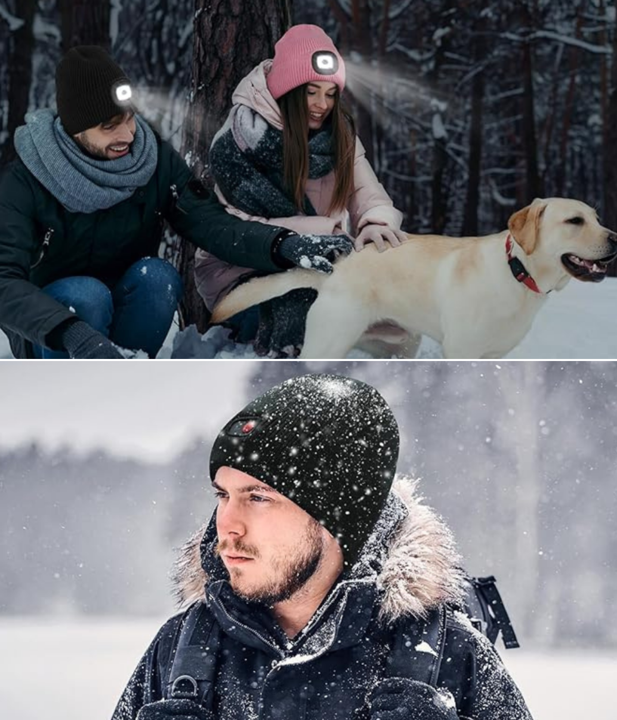 A couple playing in the snow with a dog, and a man walking in the falling snow.