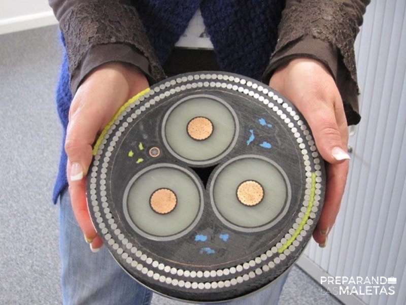 14461-R3L8T8D-1000-a-cross-section-of-an-undersea-cable
