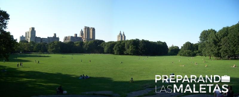 preparando-las-maletas-1
