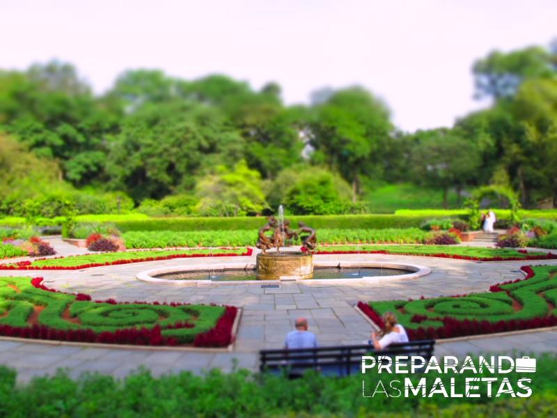 preparando-las-maletas-11