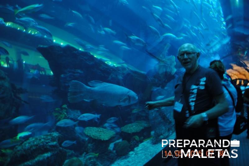 preparando-las-maletas-16