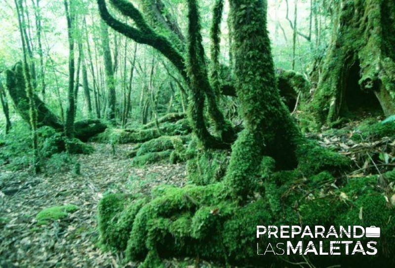 preparando-las-maletas-3