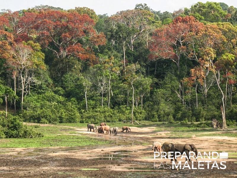 preparando-las-maletas-4