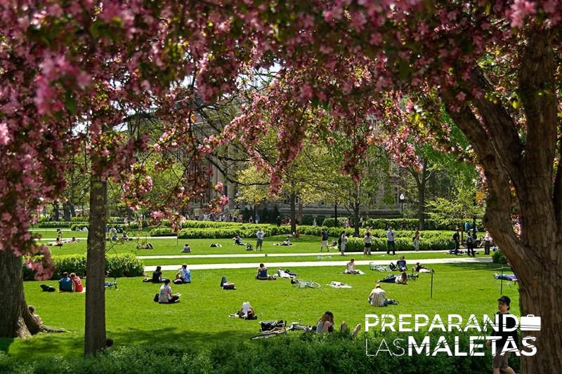 preparando-las-maletas-5