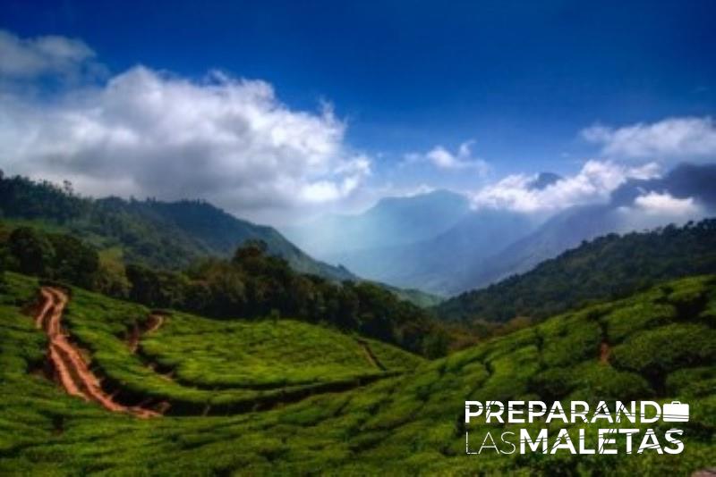 preparando-las-maletas-5