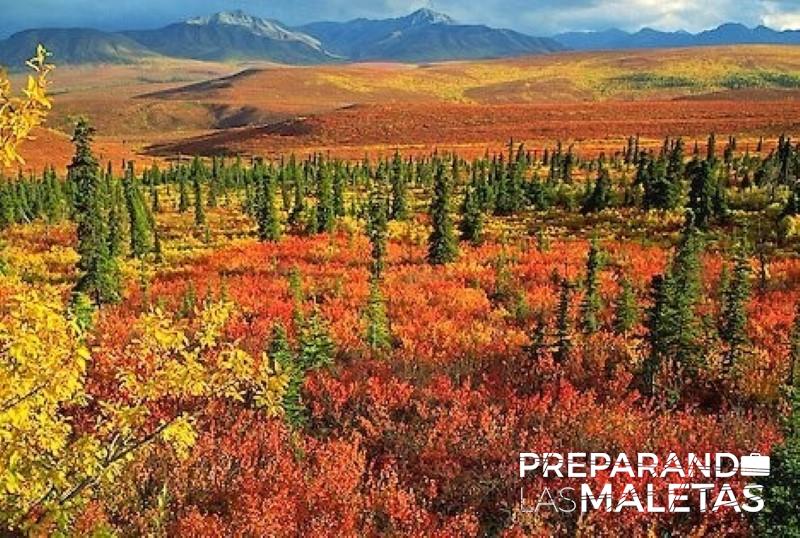 preparando-las-maletas-6