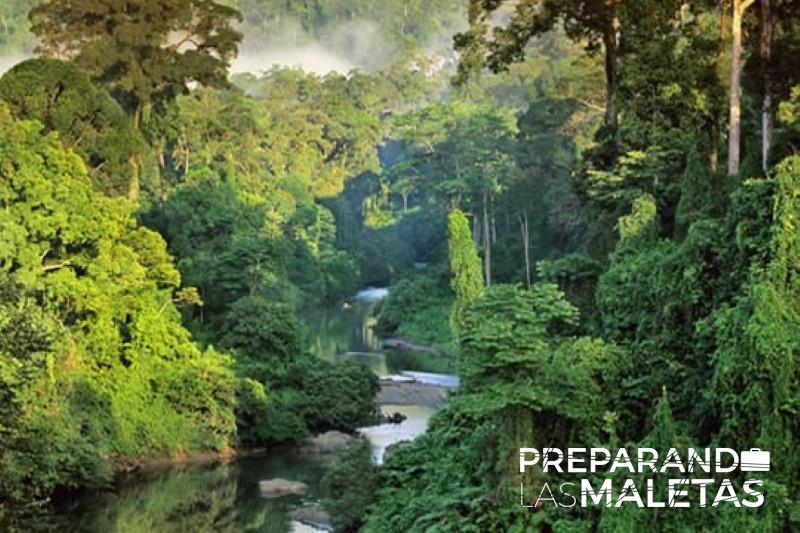 preparando-las-maletas-7