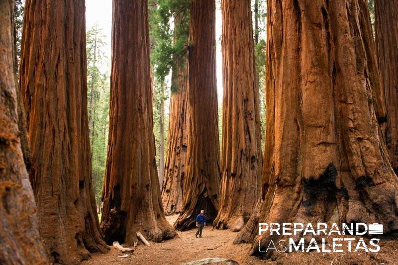 preparando-las-maletas-8