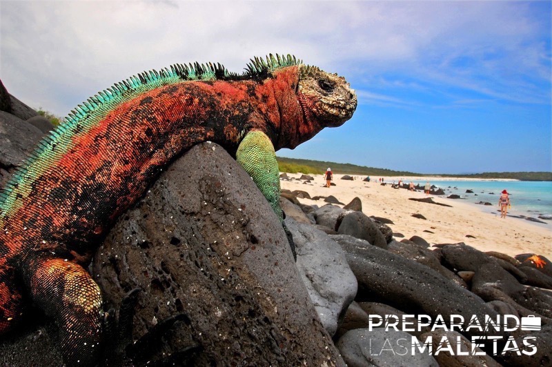 preparando-las-maletas-8-lugares-viajar-desaparezcan-2