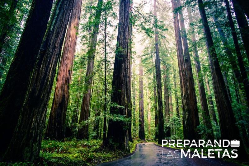 preparando-las-maletas-9