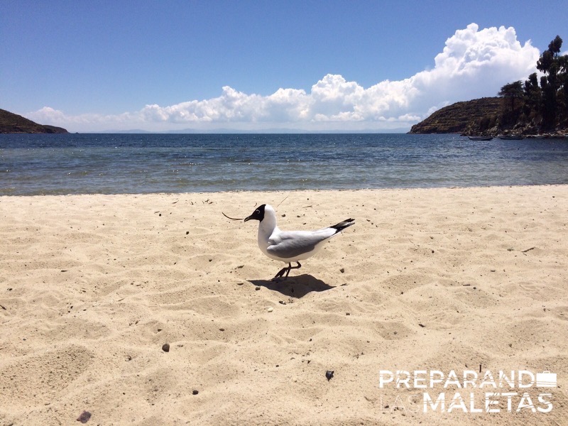 preparando-las-maletas-lago-titicaca-sudamerica-4