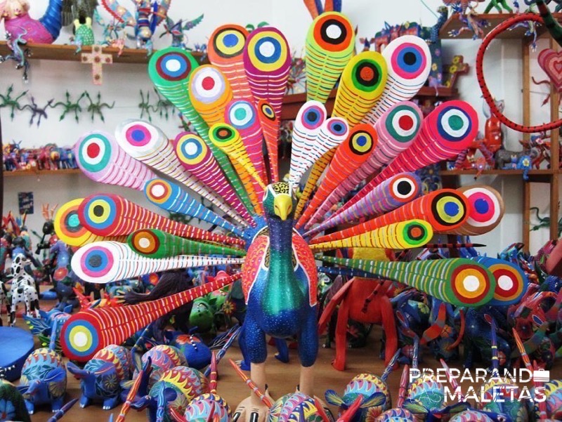 preparando-las-maletas-oaxaca1