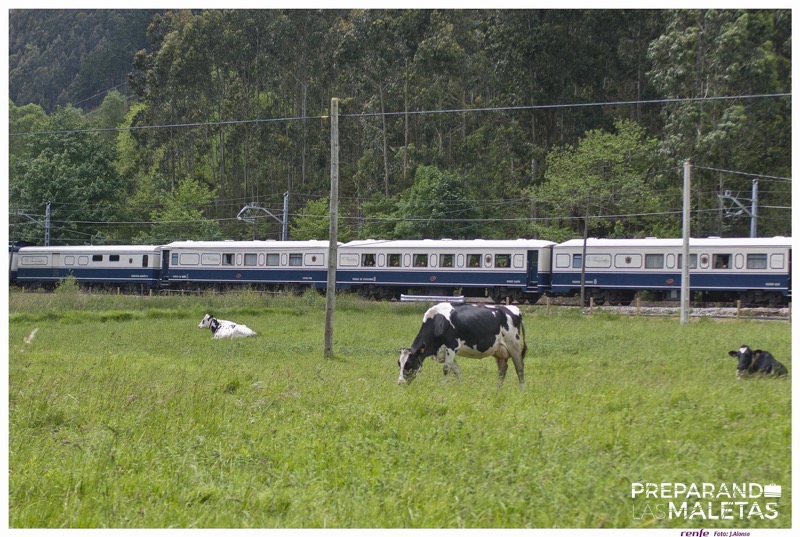 preparando-las-maletas-renfe-el-transcantabrico-09