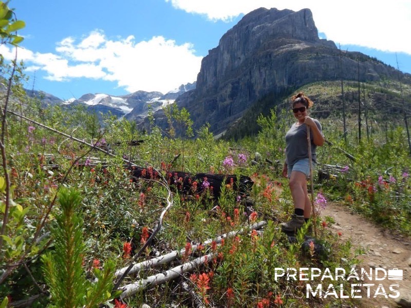 preparando-las-maletas-tatiana-hevia-1