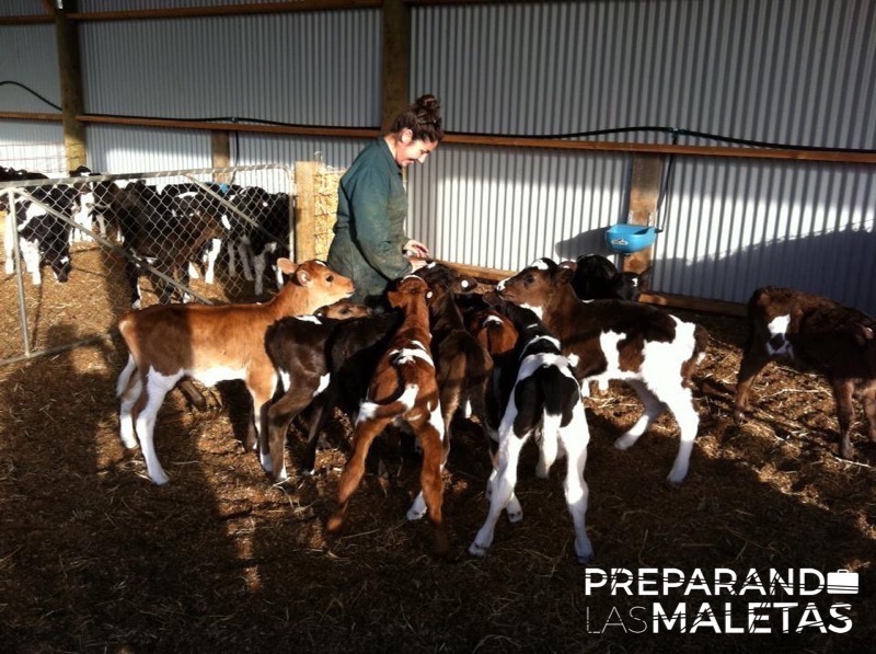 preparando-las-maletas-tatiana-hevia-3