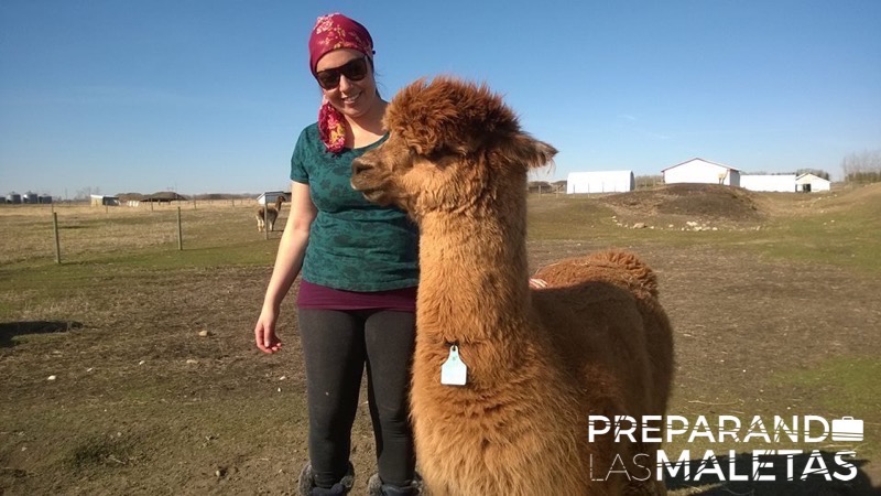 preparando-las-maletas-tatiana-hevia-viajar-gratis-1